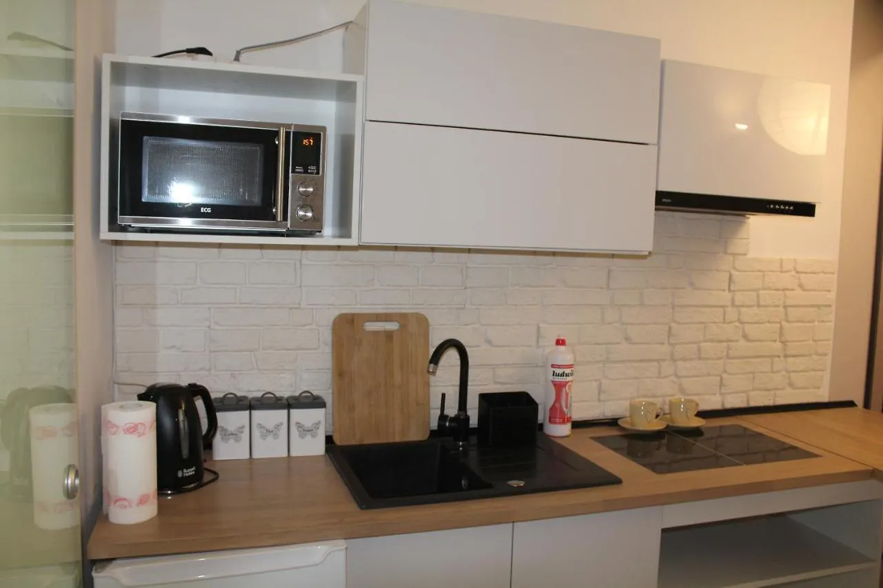 شقة Apartamenty Przy Starym Rynku بوزنان